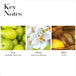 Key Notes- Top Sparkling Anjou Pear, Heart Anjou Pear Blossom, Base Amber