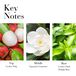 Key Notes- top lychee pulp, middle Egyptian geranium, base lychee flash delight base