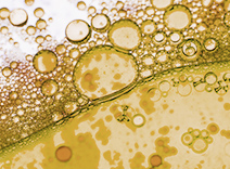 Palmitoyl + Hexapeptide – 14